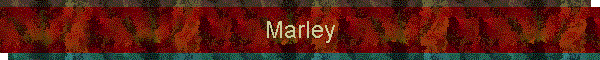 Marley